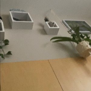 Meet your Posher, Phillip